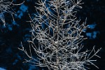 landschaft-winter-12