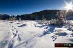 landschaft-winter-9