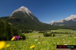 landschaft-sommer-11