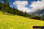 landschaft-sommer-16